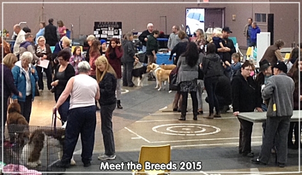 meet-the-breeds-2015_0627